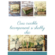 Curs "Cutie cu crapaturi bicomponente si shabby chic"