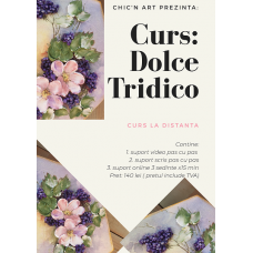 Curs "Tehnica Dolce Tridico"