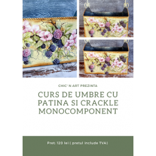 Curs "Umbre cu patina si crapaturi monocomponente"