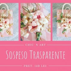 Curs: "Totul despre Sospeso Trasparente"