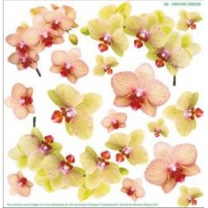 Folie imprimata Sospeso Orchid Green