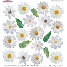Folie Sospeso Trasparente- White Daisy