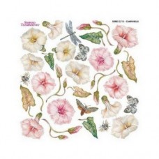 Folie Sospeso Trasparente- Campanella