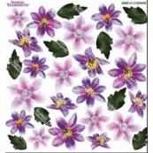 Folie imprimata Sospeso Clematis