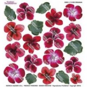 Folie imprimata Sospeso Geranium