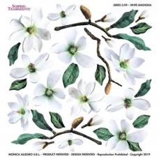 Folie Sospeso Trasperente- White Magnolia