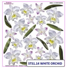 Folie Sospeso Trasparente- White Orchid